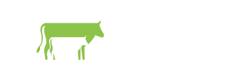 X-Zelit.com
